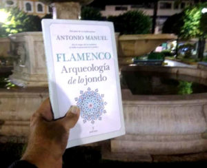 Antonio Manuel - Flamenco aqueología de lo jondo