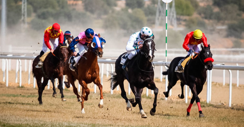 septiembre se despide con carreras de caballos en el gran hipodromo de andalucia