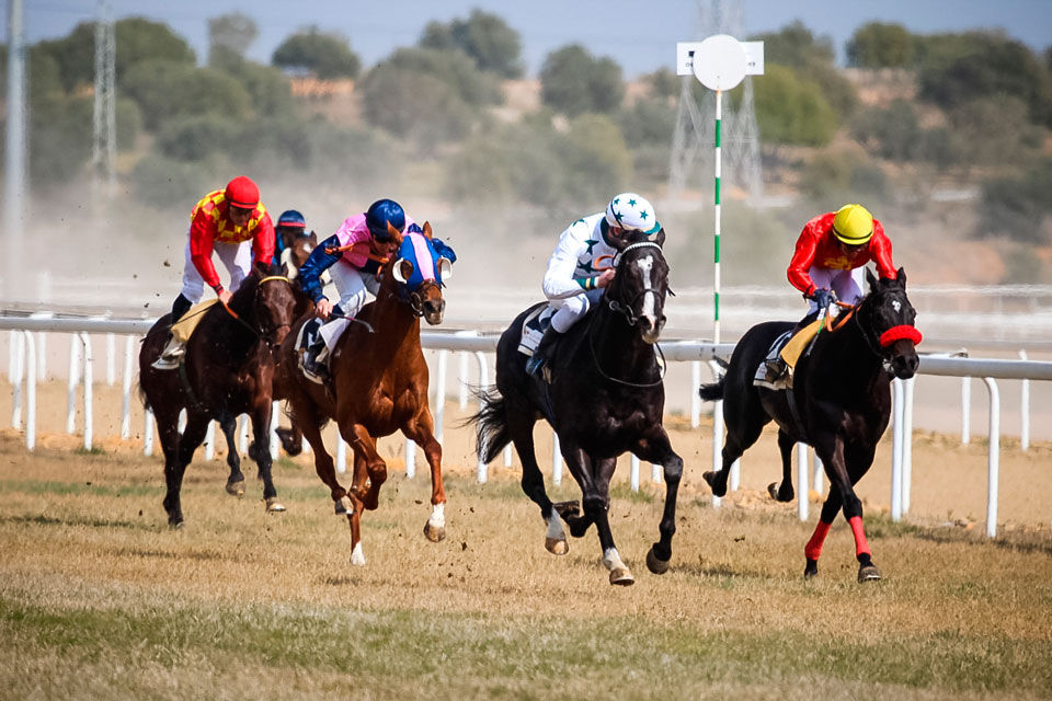 septiembre se despide con carreras de caballos en el gran hipodromo de andalucia