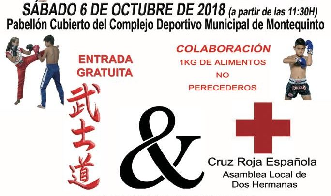 I Encuentro de Artes Marciales Ciudad de Dos Hermanas 2018