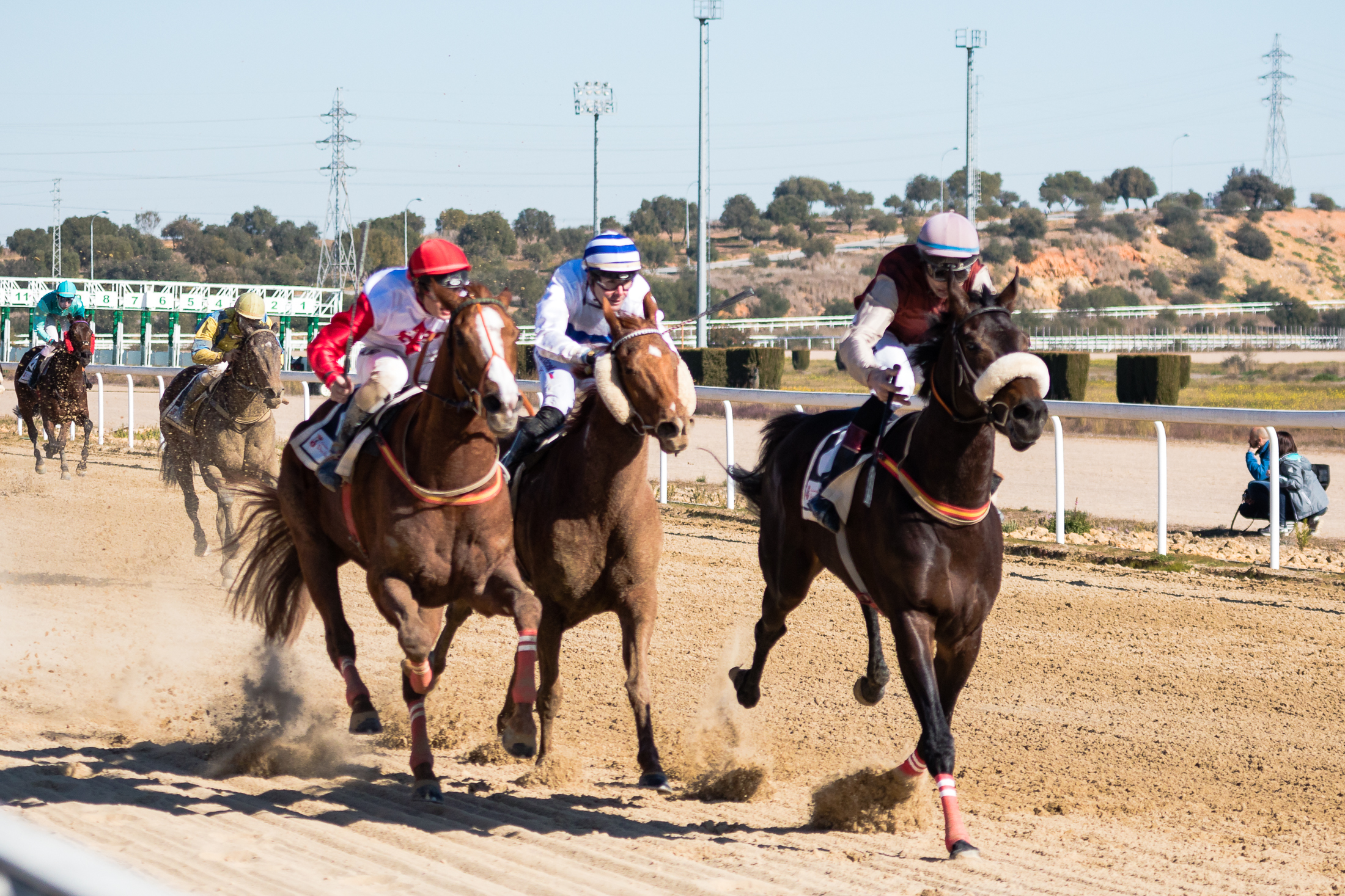 Seis carreras de caballo en el Gran Hipódromo de Andalucía