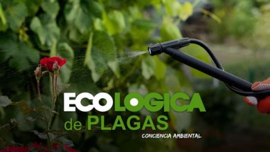Ecológica de Plagas - Control de plagas ecológico en Sevilla