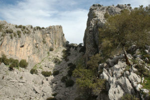 Salto del Cabrero senderismo de Ateneo Andaluz